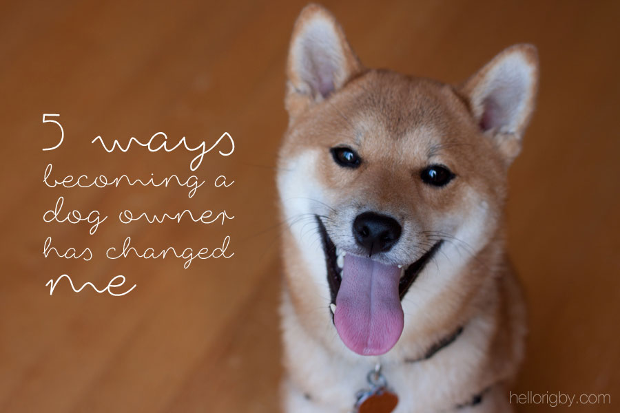 5 Ways Becoming a Dog Owner has Changed Me / hellorigby.com