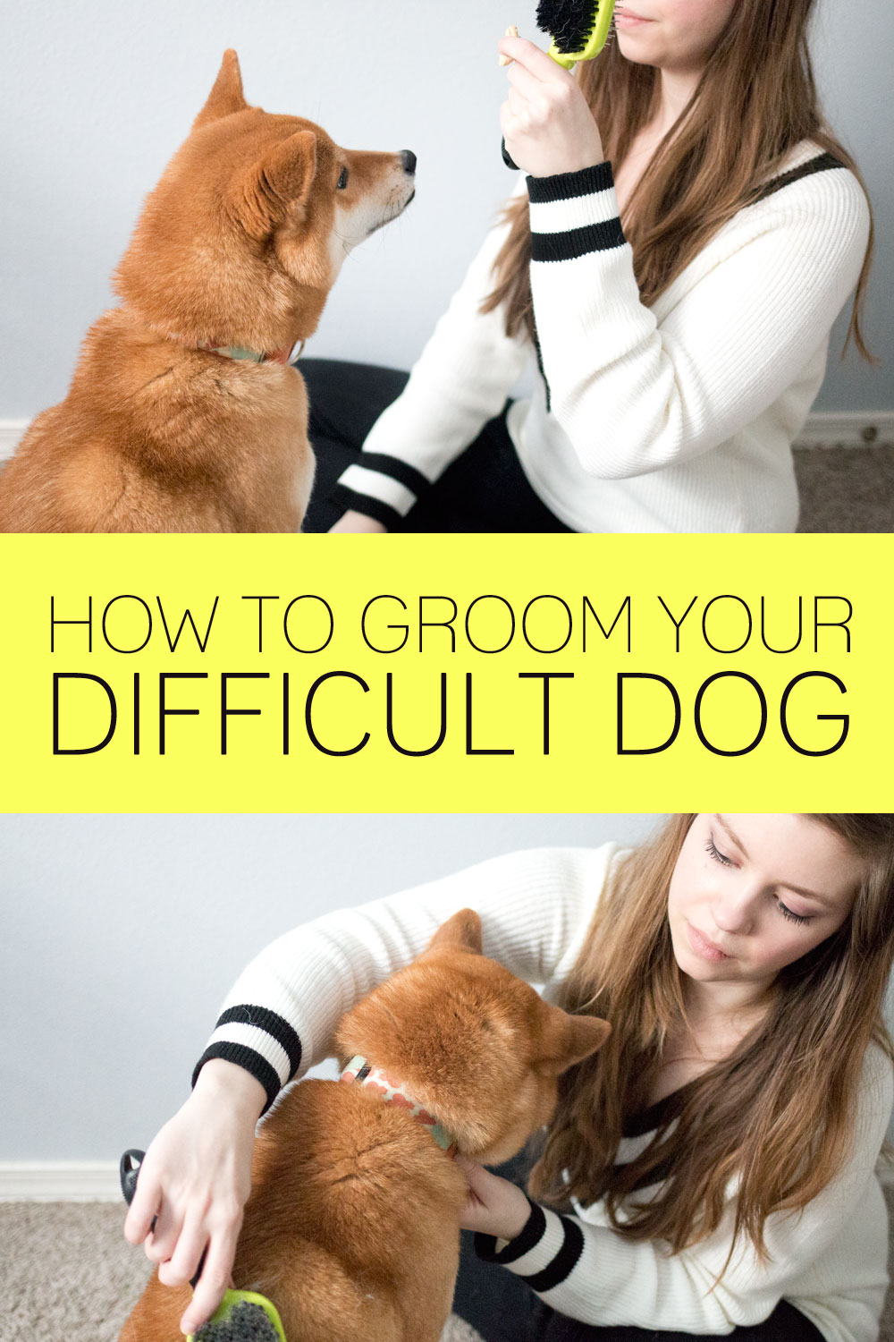 How to Groom a Difficult Dog / hellorigby seattle lifestyle and pet blog