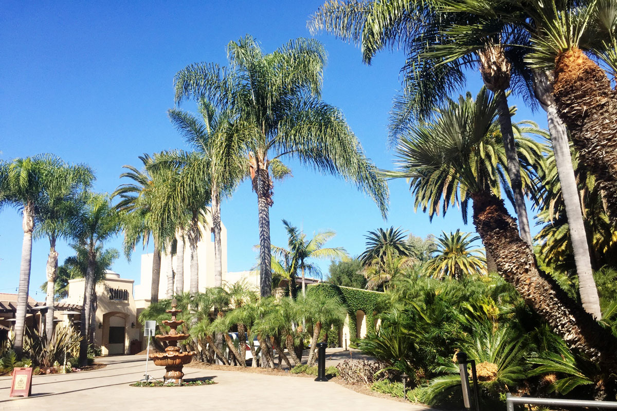 Hyatt Regency Newport Beach Hotel & Resort // Hello Rigby Seattle Fashion & Lifestyle Blog