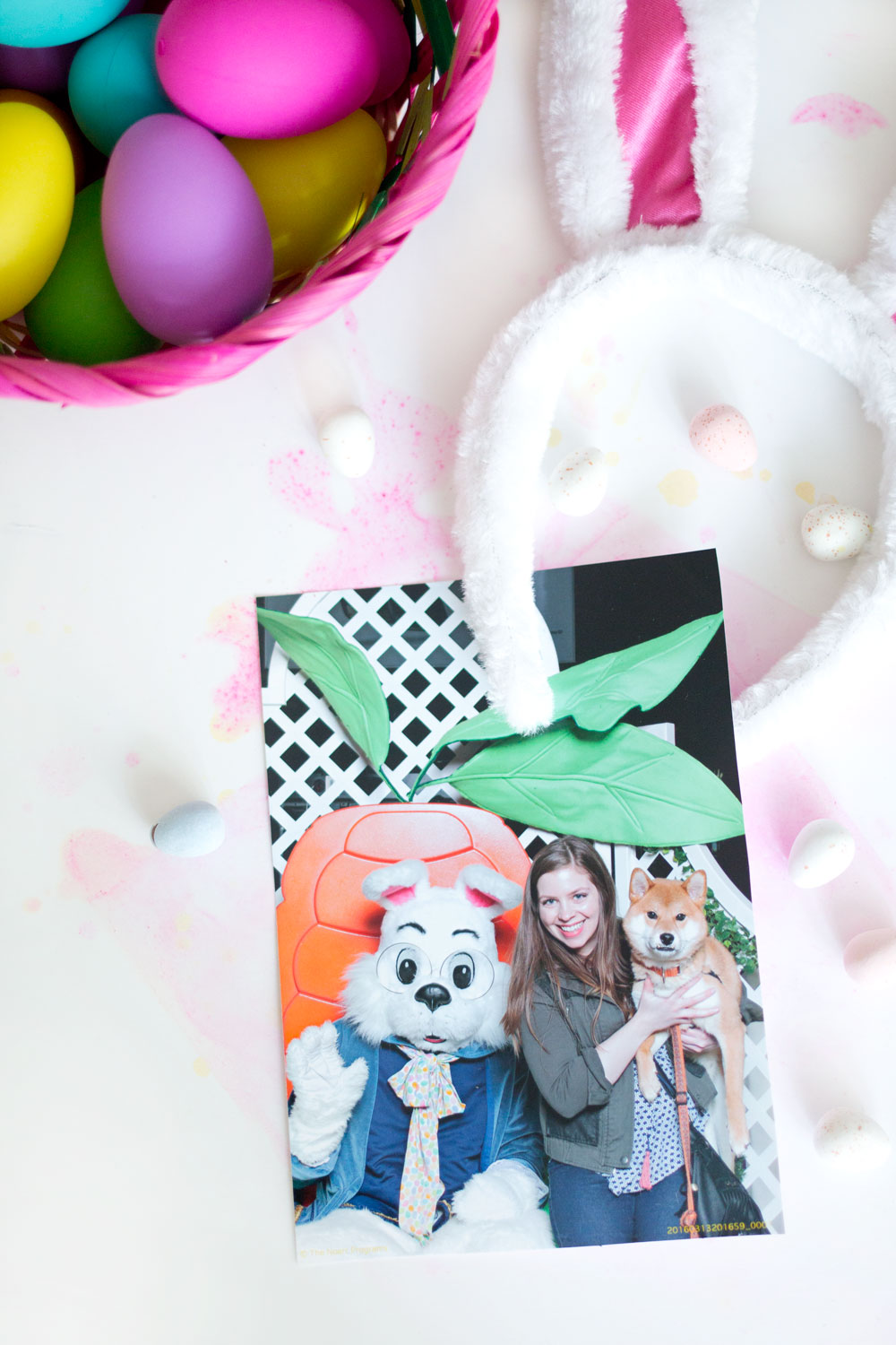Shiba Inu Photos with Easter Bunny // Hello Rigby Seattle Pet & Lifestyle Blog