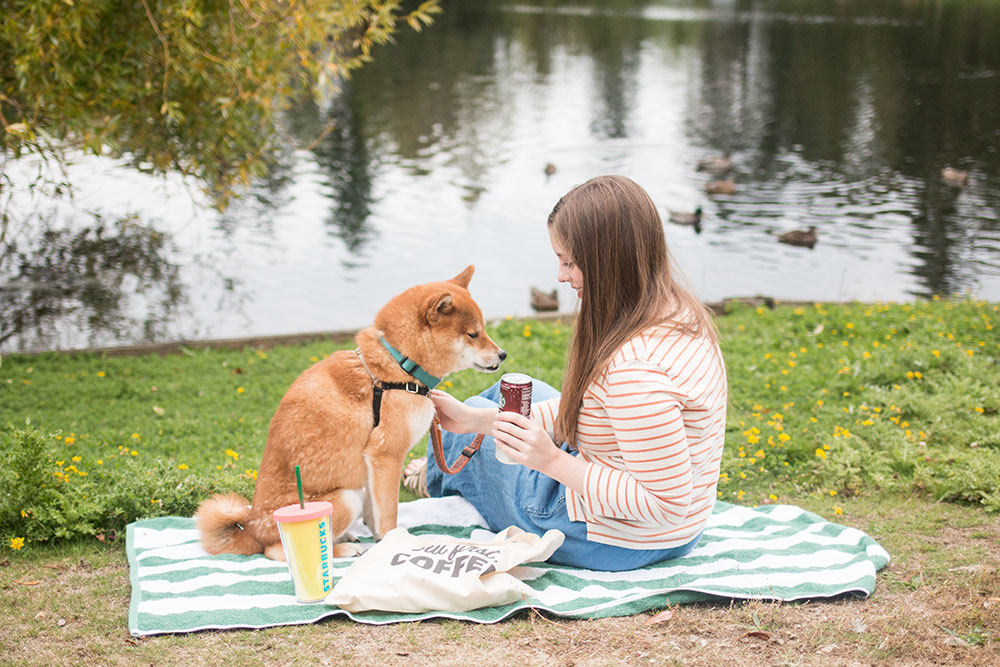 what-to-do-before-summer-is-over