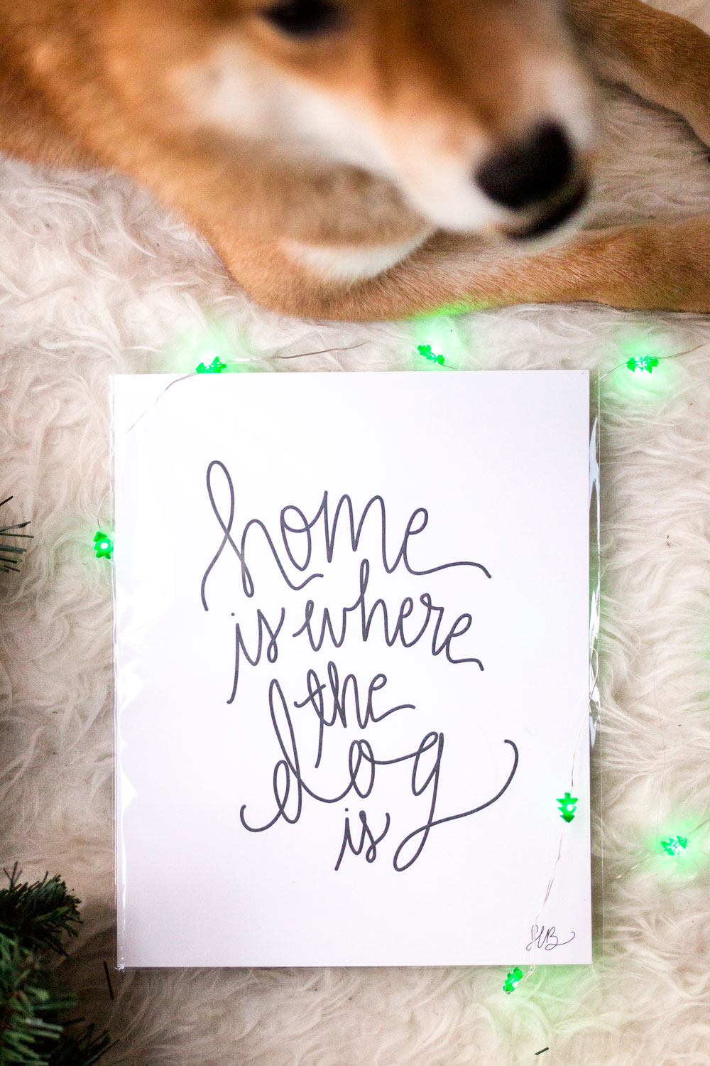 Signet Sealed Home is Where the Dog is Hand Lettered Print // Hello Rigby Seattle Lifestyle Blog