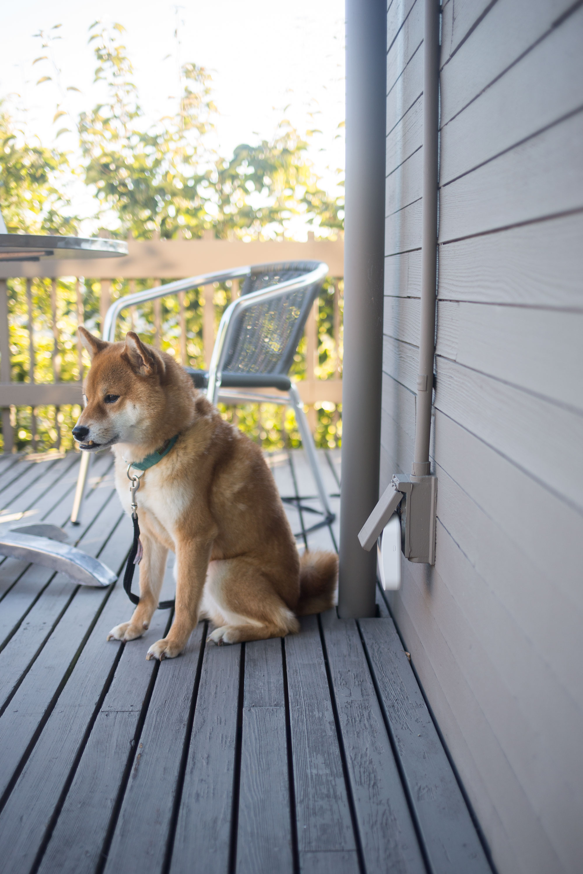 How to Improve WiFi Outside // eero Review // Hello Rigby Seattle Lifestyle and Home Blog