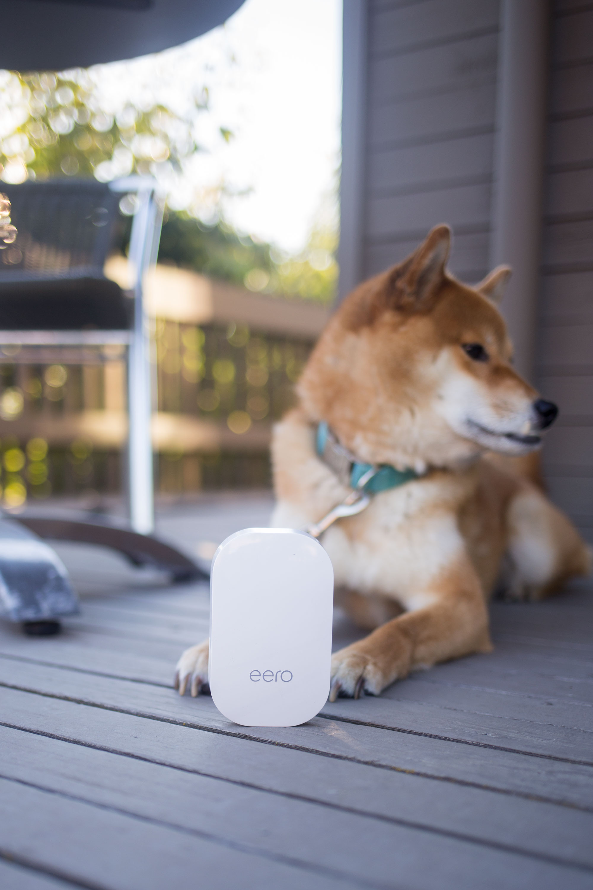 The Easiest Solution for Home WiFi // eero Review // Hello Rigby Seattle Lifestyle Blog