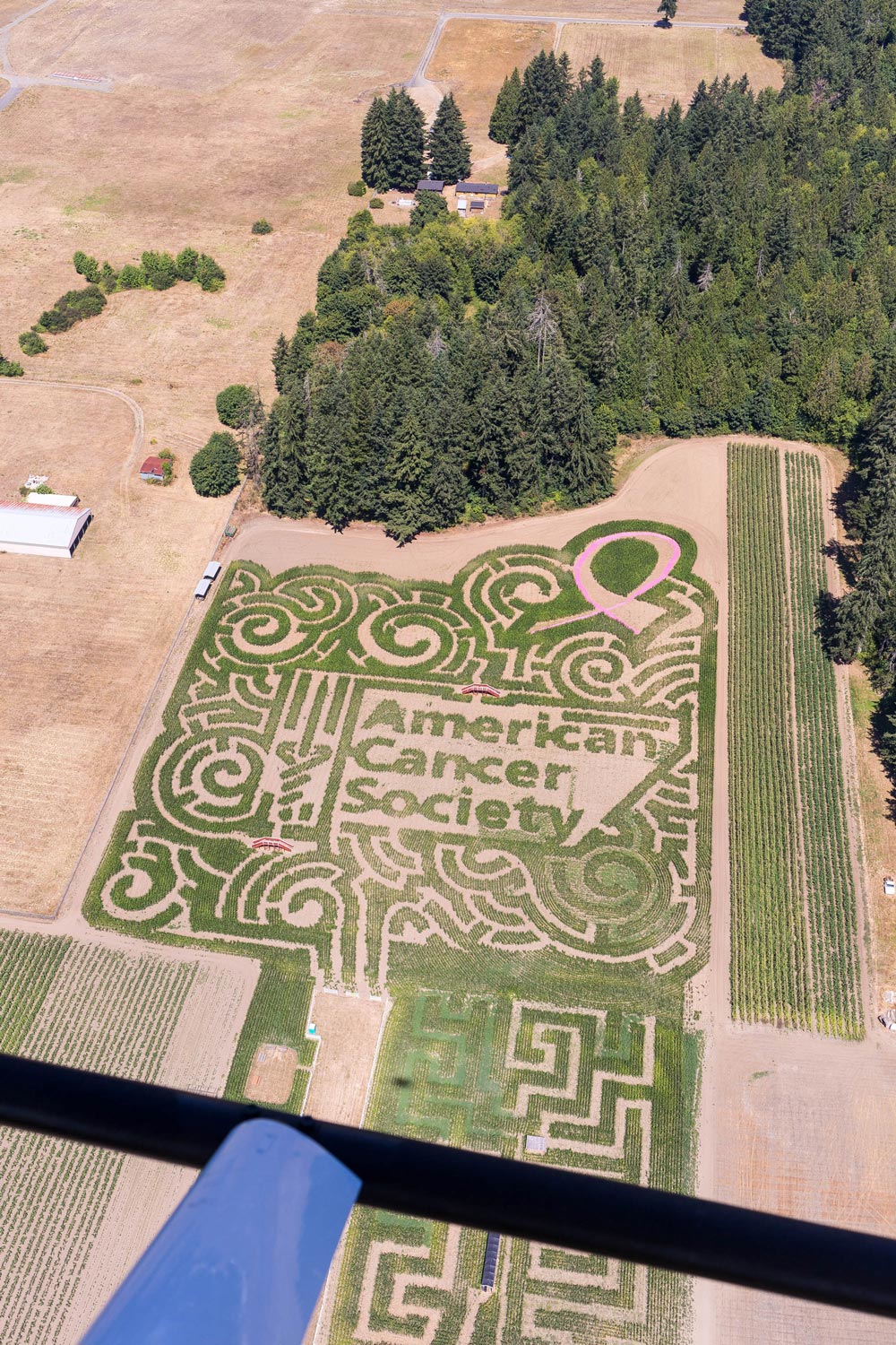 Rutledge Farms Corn Maze