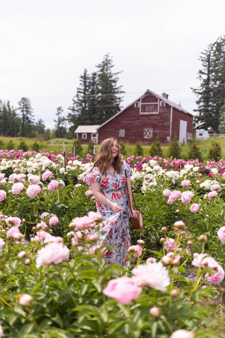Peony Farm Washington Where to Go for Peonies // Seattle Lifestyle Blog