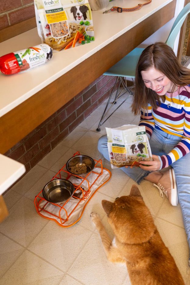 Freshpet Reviews How I Keep Rigby Healthy with Fresh Dog Food