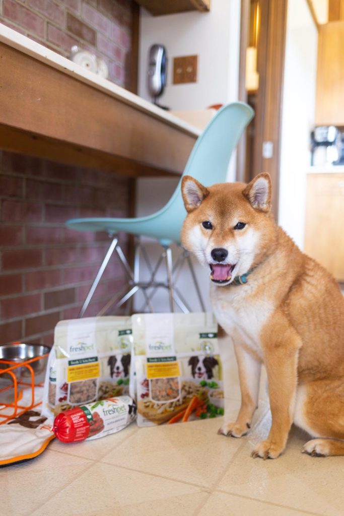 Freshpet Reviews How I Keep Rigby Healthy with Fresh Dog Food