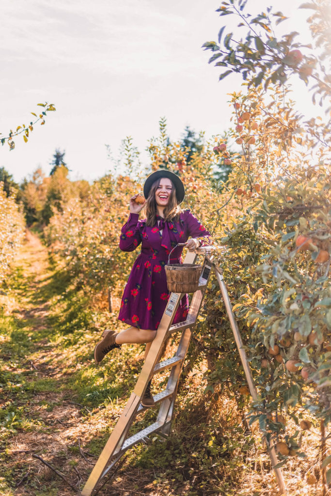 15+ Things to Do to Celebrate Fall in Seattle Seattle Lifestyle Blog