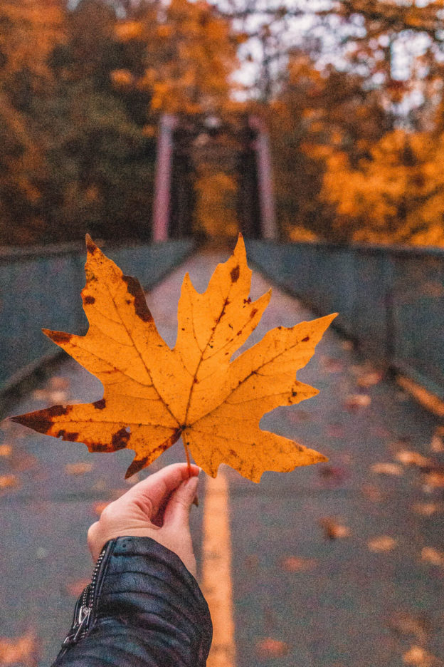 15+ Things to Do to Celebrate Fall in Seattle – Seattle Lifestyle Blog